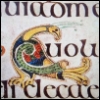 smmg: An illustration of a peacock from the Book of Kells (Default)