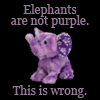 crazymule: elephants are not purple. this is wrong (Default)