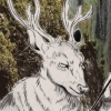 saint_arlo: Drawing of a buck's head (Default)