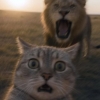 hurpdurpburps: (pic#18420889)