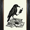 raptureofthemoon: a crow standing on a stack of books holding a book in its claw and reading (book crow)
