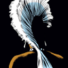 sheliak: Ororo Munroe, seen from behind and in shadow. (storm: from behind)