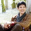 tinyforestspirit: (merlin)