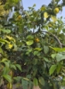 enjoy_reading: (pic#18456533)