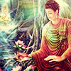 earthspirits: (lotus buddha)