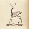shibes: (my deer.)