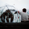 taffetadarling: by <user name=tafficons> (buddies)