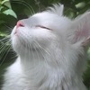 themogget: (077)