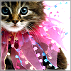 athenais: (kitty spangle)