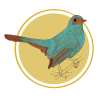 coppercatbird