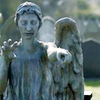 purplecat: I statue of an angel, pointing. (Who:Weeping Angels)
