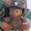 offcntr: (captain bear)