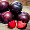 musesfool: picture of black plums (ripe wicked plums)