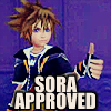 retrogrrrl: (Sora Approved!)