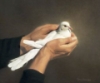 analogbasilisk: (Default)