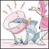 sharkdog: (cone of shame)