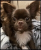 pixiebelle: (Default)