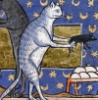 quelcom: Medieval cat carrying rat in front paws (Default)