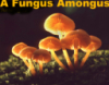 helen99: There's a fungus amongus (There's a fungus amongus)