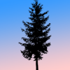 frayadjacent: (Default)