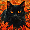 casey28: (autumn black cat)