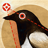 definitelynotacrow: An illustration of a pied black bird with a red star-like object sending out red rays to its red eye (Default)