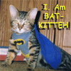 thebattycakes: (bat-kitteh!)