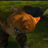cat_wth_panache: (bow)