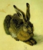 saffronhare: (Durer Hare)