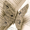 ceitfianna: (paper butterfly)