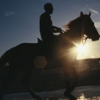 ceitfianna: (riding into the sun)