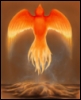 phoenixtears: (Phoenix from the Ashes)