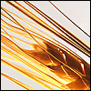 wheatencrown: (Default)