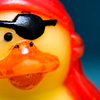 will_scarlett: (pirate ducky)