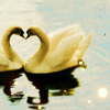 technosage: (misc_heart_swans)
