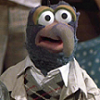 musicmaestro: (Muppet casual)