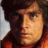 owl: Commander Luke Skywalker (luke)