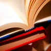 seat_five_girl: (reading)