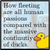 gumbie_cat: "How fleeting are all human passions compared with the massive continuity of ducks." (Lord Peter)
