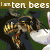 ext_646: (ten bees)