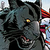 borntobewildcat: ([cat] like a lion)