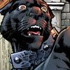borntobewildcat: ([cat] captive no)