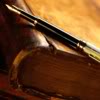 sees_them_too: (Books & Writing)