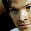 gavemea_45: (really not kidding)