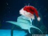 wolfshark: (santa)