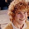 starrarte: (lotr: merry)