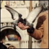 2020sight: (Animal magnetism (feed the birds))