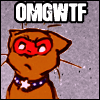 owls: young avengers - patriot ((Marvel) Kitten Eli)