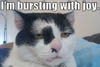 catsgomiaow: bursting with joy (Default)