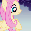 ondistantshores: ([MLP] Fluttershy - oh dear)